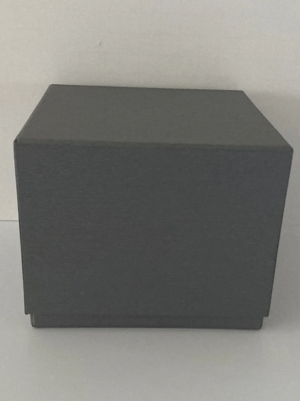 Michele Gray Watch Box/Cushion/Polishing Cloth/Manual/Warranty Card/NEVER USED!!